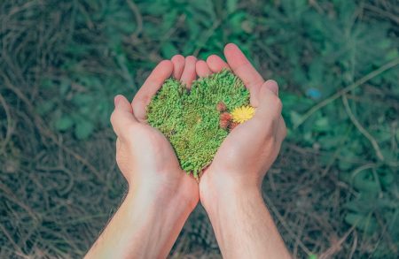 environnement environnement